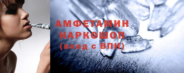ПСИЛОЦИБИНОВЫЕ ГРИБЫ Сосновый Бор